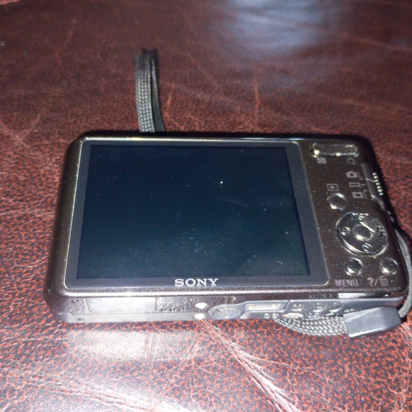 Sony Cyber-Shot DSC-W570 16.1 MP Digital Still Camera with Carl Zeiss Vario-Tess - Picture 9 of 12